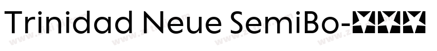 Trinidad Neue SemiBo字体转换